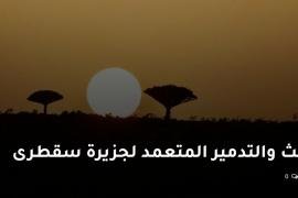 بالوثائق: العبث والتدمير المتعمد لجزيرة سقطرى