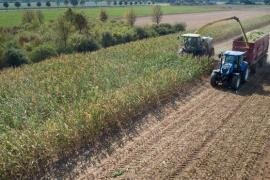 أسعار الغذاء عند أعلى مستوياتها منذ 2011 .. قفزت 39.7 % خلال عام