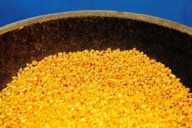 بالتزامن مع ضعف أداء الدولار .. أسعار الذهب ترتفع لليوم الثاني على التوالي