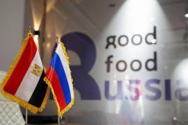 روسيا تشارك بأفضل منتجاتها في مصر