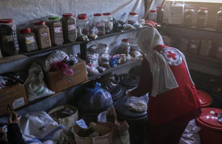 تخزين وتوثيق البذور: طوق نجاة للقطاع الزراعي المدمر في غزة