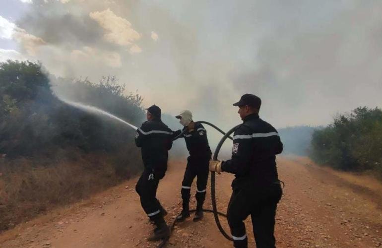 جحيم الصيف في الجزائر: أرقام صادمة تكشف حجم الدمار البيئي والفلاحي