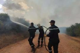 جحيم الصيف في الجزائر: أرقام صادمة تكشف حجم الدمار البيئي والفلاحي