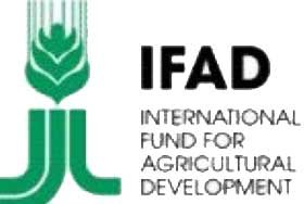 IFAD