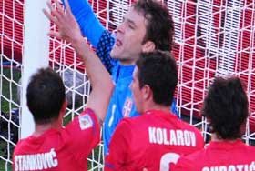 sarbiya2010